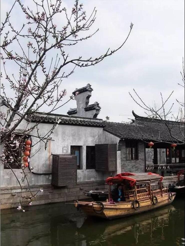 成绩不好，出身也不好，如何在如今瞬息万变的社会立足？游戏画面